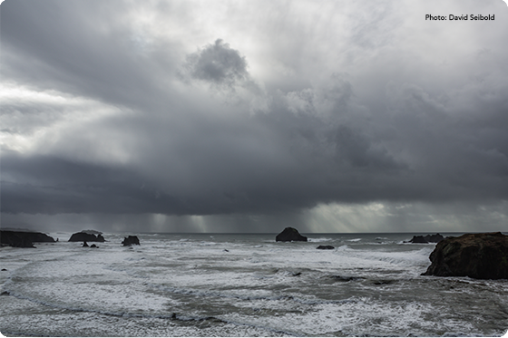 Photo of Florida coast by Kari Nousiainen