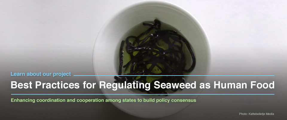 Best Practices for Regulating Seaweed as Human Food