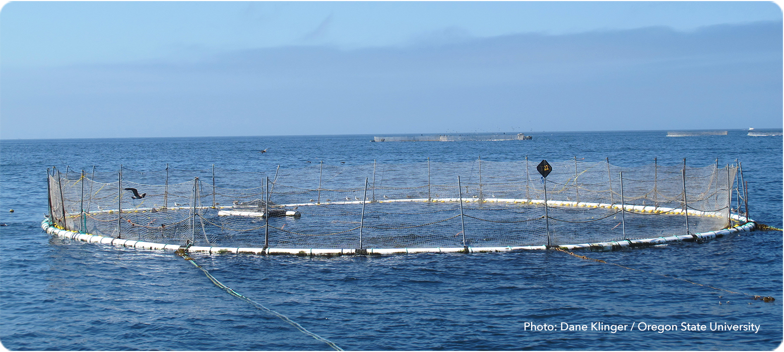 Aquaculture net pen, photo by Dane Klinger
