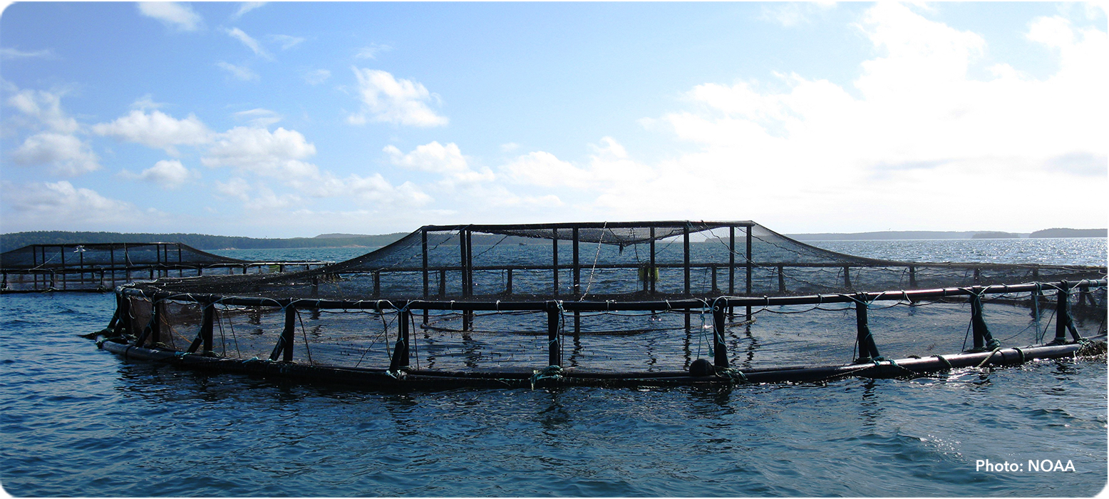 Aquaculture Coastal net pens, photo by NOAA